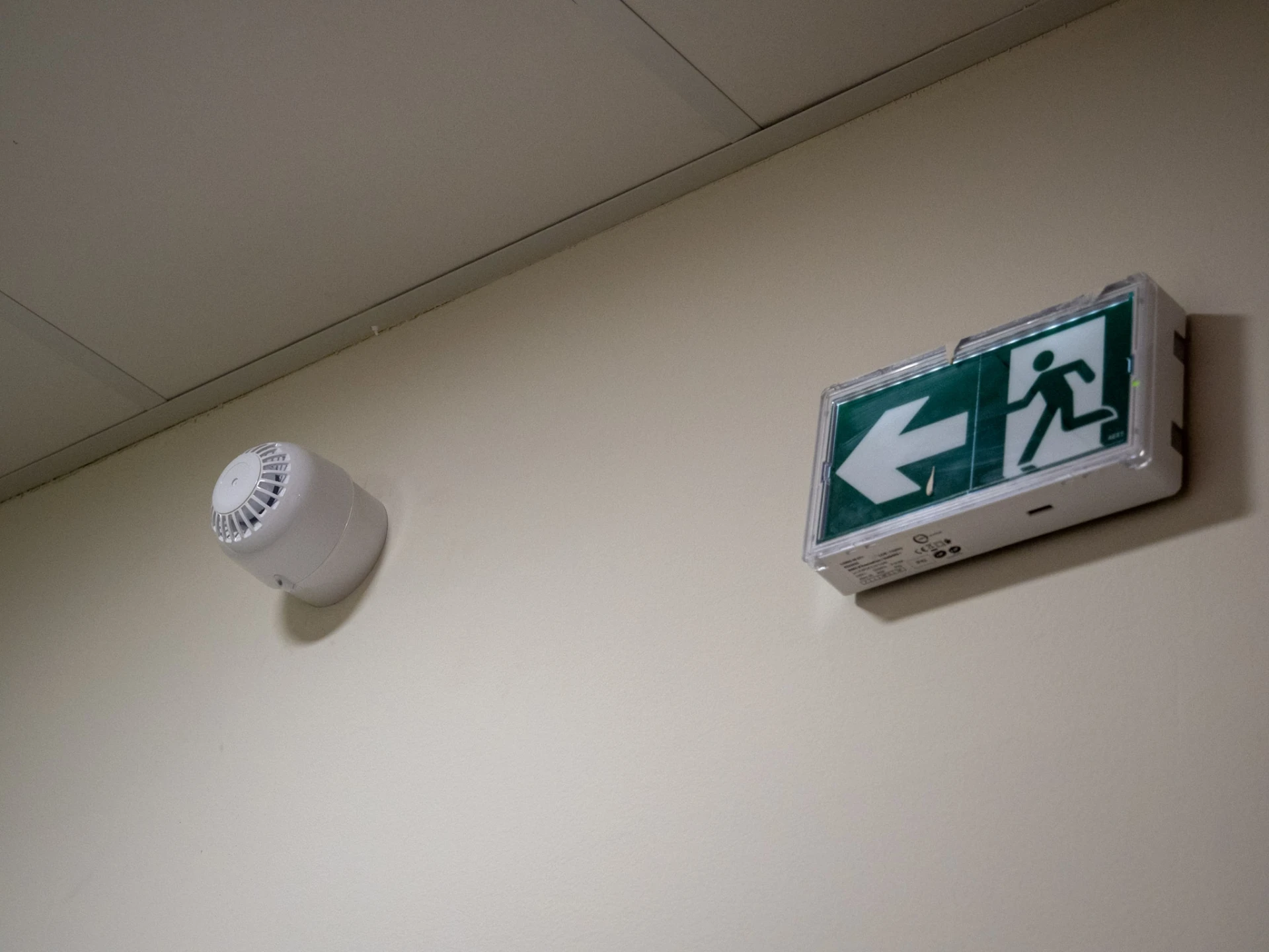 Rénovation & Extension - Ecole de Calenzana