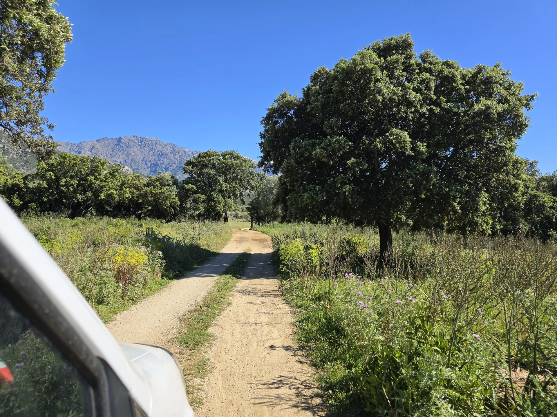 Falasca - Restaurant en terre à Lumio
